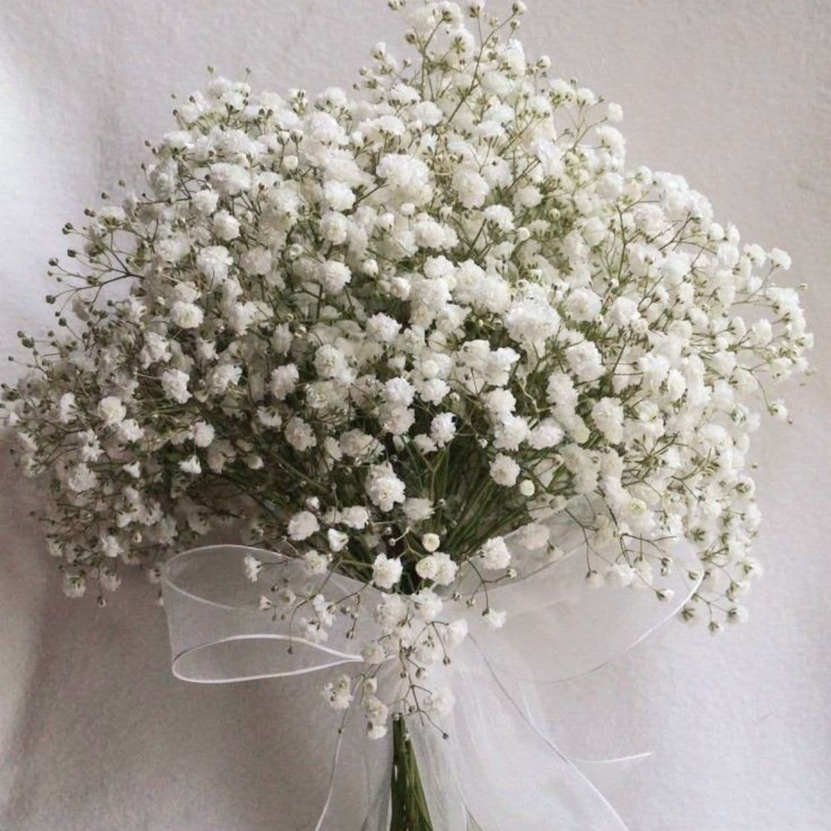 Snowy Whisper – Gypsophila Bunch
